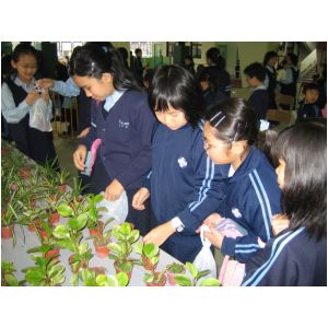 IMG_3163.JPG