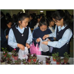 IMG_3167.JPG