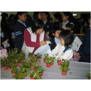 IMG_3168.JPG