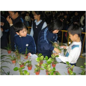 IMG_3170.JPG