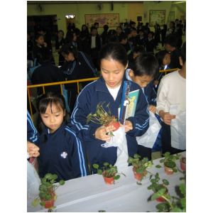 IMG_3171.JPG
