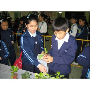 IMG_3174.JPG