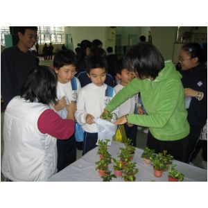 IMG_3175.JPG