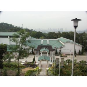 PICT8410.JPG