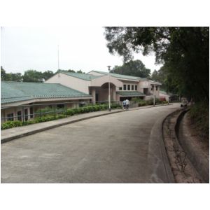 PICT8470.JPG
