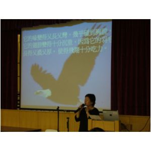 P1000082.JPG