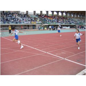 IMG_3566.JPG