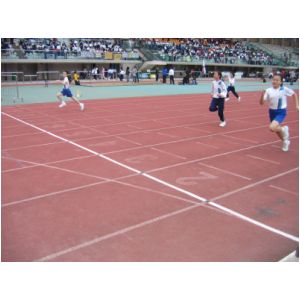 IMG_3567.JPG