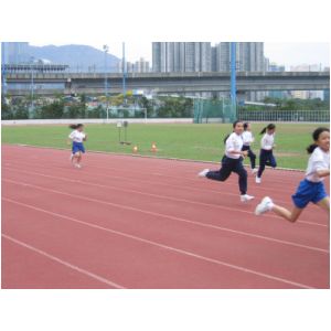 IMG_3570.JPG