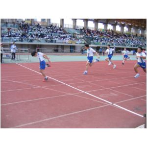 IMG_3613.JPG