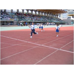 IMG_3620.JPG