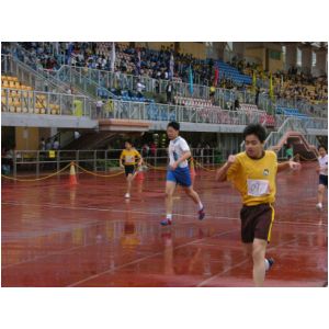 050.JPG
