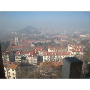 IMG_8877.JPG