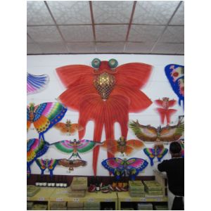 IMG_9335.JPG