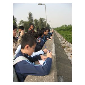 IMG_4625.JPG