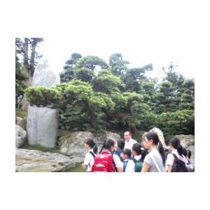 SANY0292.JPG