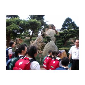 SANY0294.JPG