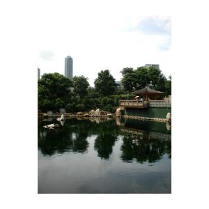 SANY0320.JPG