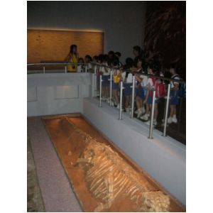 P1000005.JPG