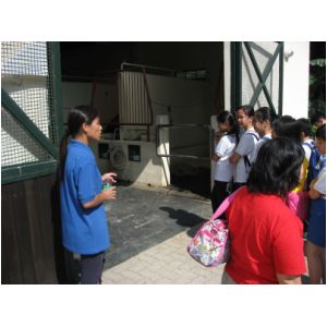 IMG_5956.JPG