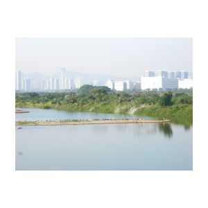 DSCN3073.JPG