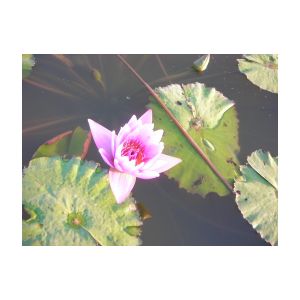 DSCN3090.JPG