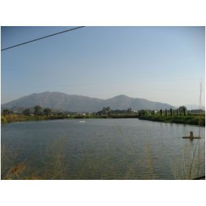 IMG_0093.JPG