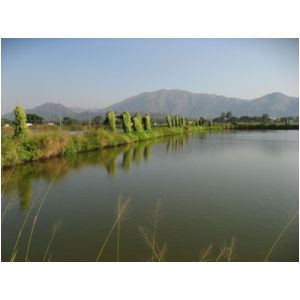 IMG_0101.JPG