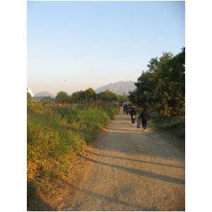 IMG_0138.JPG