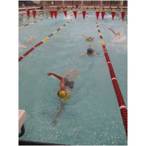 IMG_2015.JPG