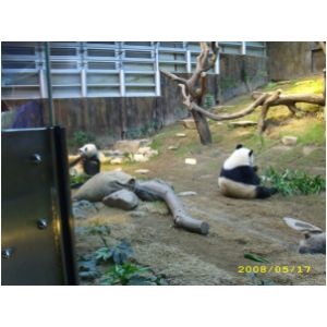 IMG_0160.JPG