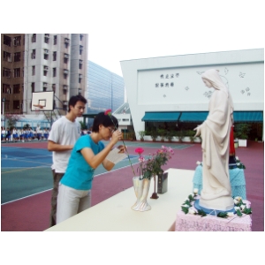 c003.JPG