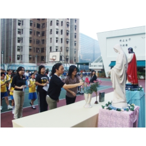 c006.JPG