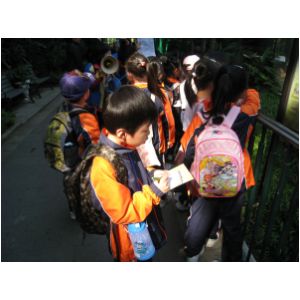 IMG_3896.JPG