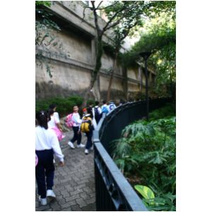 IMG_4394.JPG
