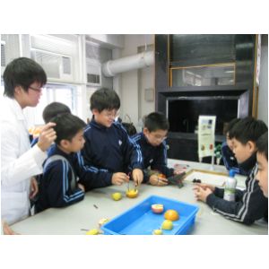 IMG_0085.JPG