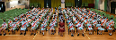 DSC_3528_cropped