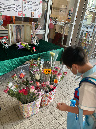 IMG_9666