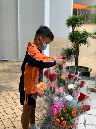 IMG_5645
